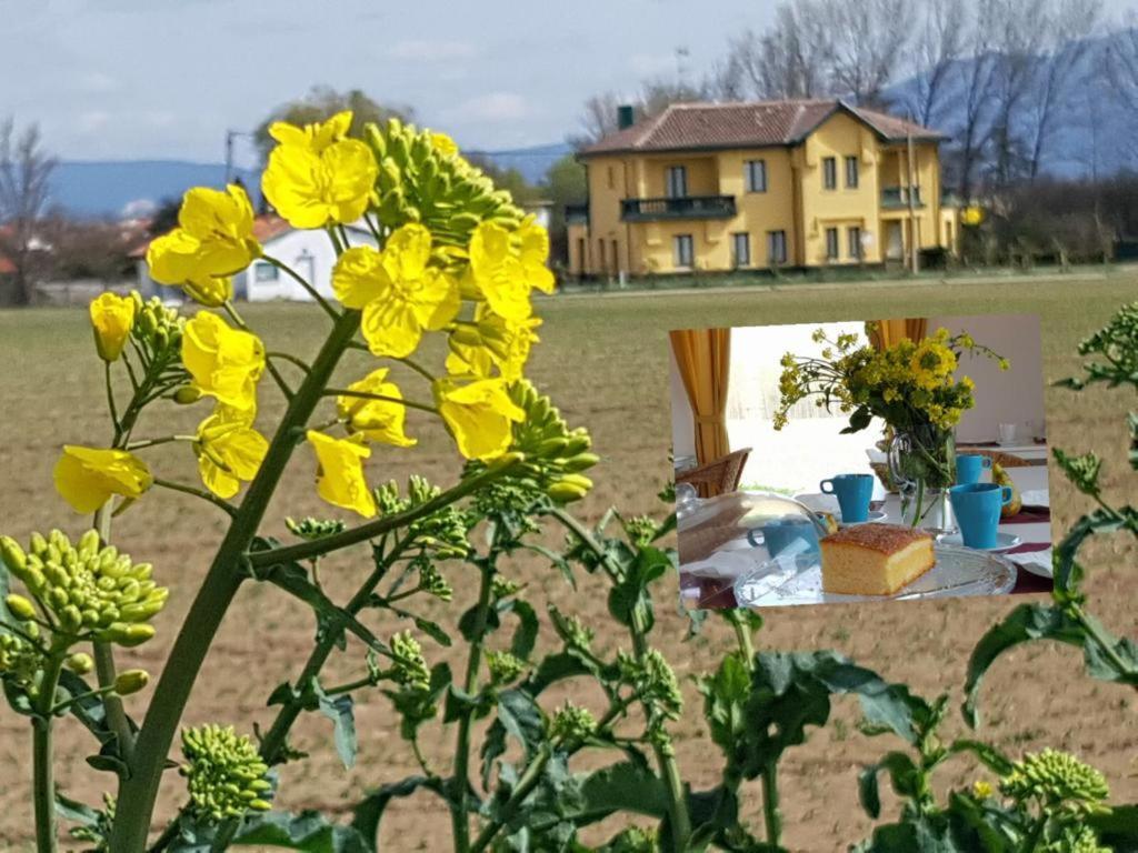 Hotel Valle Del Oja كاسالاريينا المظهر الخارجي الصورة
